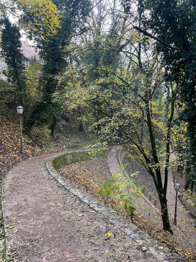 Historic Center-Lovely Nature Zagreb Ngoại thất bức ảnh